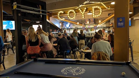 The Phoenix - Plough Lane